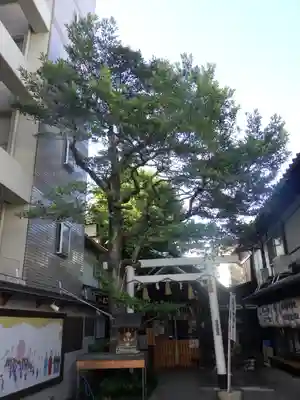 高松神明神社の自然