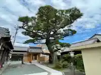 浄願寺のその他建物