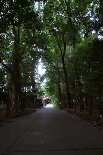 駒木諏訪神社(千葉県)