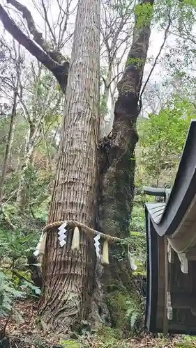 貴船神社の自然