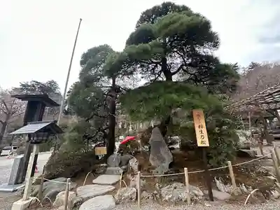 宝登山神社(埼玉県)