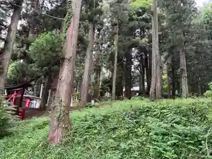 大宮温泉神社の周辺(2022年06月09日(木) 10時09分01秒投稿)