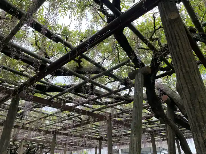 報徳二宮神社(神奈川県)