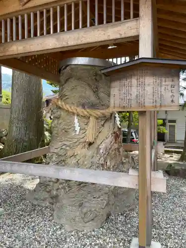 飛驒一宮水無神社の自然