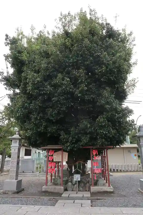白山神社(二子町)(愛知県)