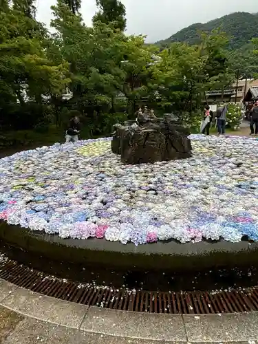 久安寺(大阪府)