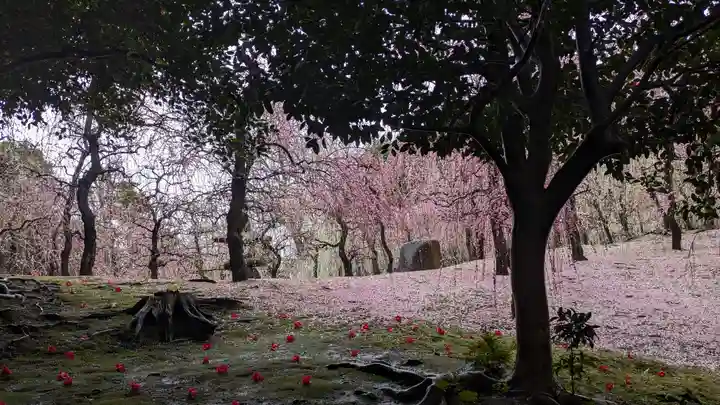 城南宮(京都府)