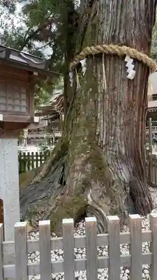 大神神社(奈良県)