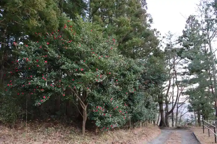 安達太良神社の景色