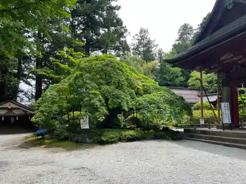 北口本宮冨士浅間神社(山梨県)