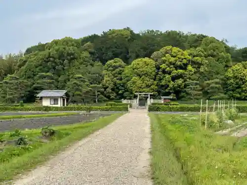 称徳・孝謙天皇陵（高野陵）(奈良県)