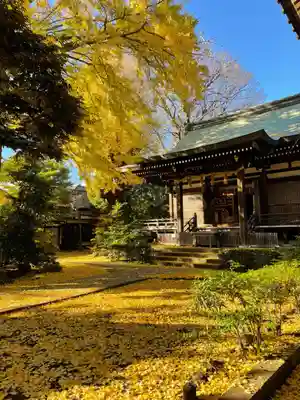 奥澤神社の本殿・本堂