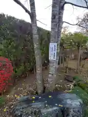 長泉寺の自然