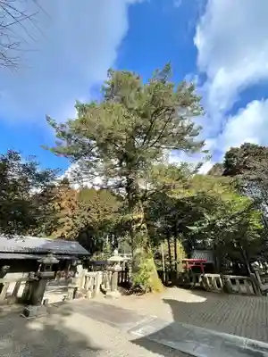 熊野神社(滋賀県)