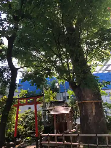 阿佐谷弁天社(東京都)