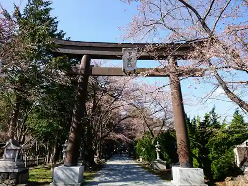 冨士御室浅間神社の鳥居