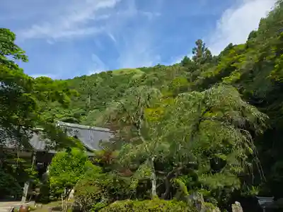 金蔵寺(京都府)