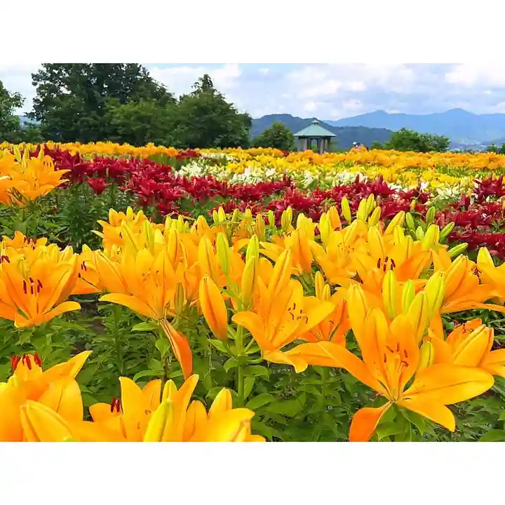 常泉寺(新潟県)