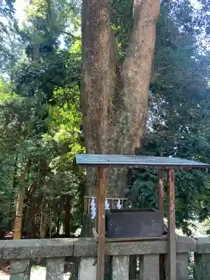 久能山東照宮(静岡県)