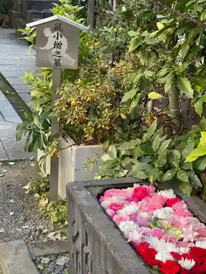 回向院(東京都)