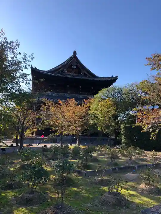 東寺(教王護国寺)の本殿・本堂