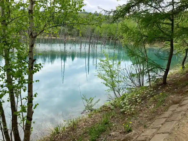 美瑛神社の周辺
