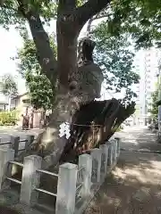 阿邪訶根神社の自然