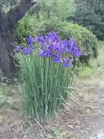 伏木香取神社の自然