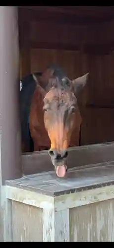 伊勢神宮内宮（皇大神宮）(三重県)