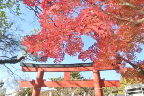 鶴岡八幡宮の鳥居