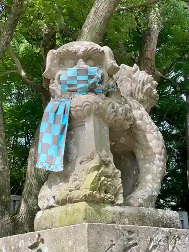 大麻比古神社の狛犬