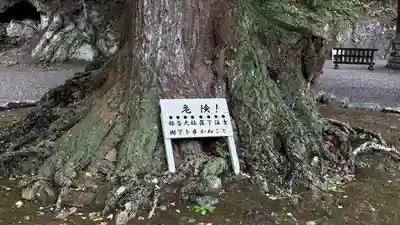 安房神社(千葉県)
