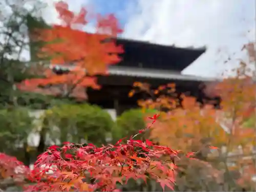 井山 宝福寺(岡山県)