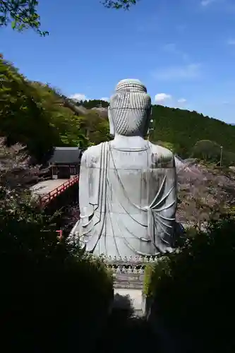 南法華寺（壷阪寺）(奈良県)