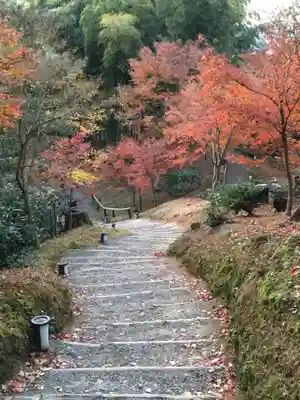 高台寺（高台寿聖禅寺・高臺寺）(京都府)