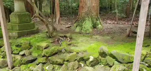 彌彦神社のその他建物