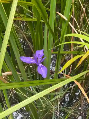唐招提寺(奈良県)