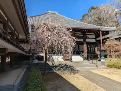 妙法寺(東京都)