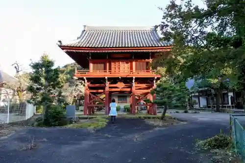 龍泰寺の山門