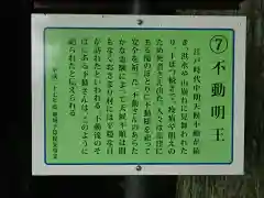 不動明王(愛知県)