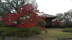 東寺（教王護国寺）の庭園