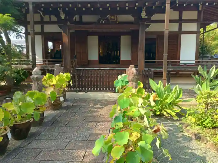 西雲院(京都府)
