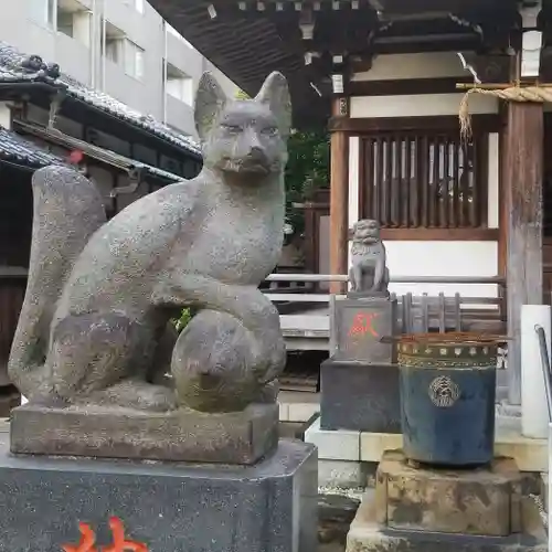 綾瀬稲荷神社の狛犬