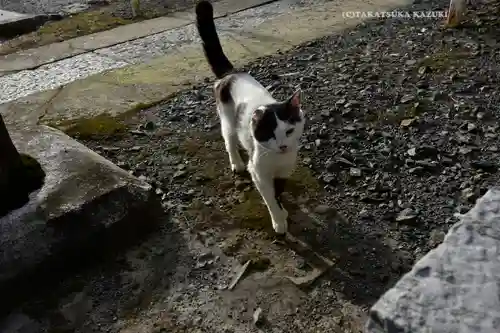 賀茂別雷神社(栃木県)