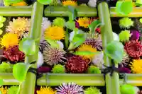 くろ谷 金戒光明寺の手水舎