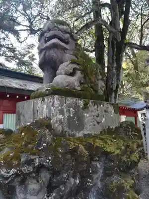 大國魂神社の狛犬