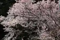 若草木神社の自然