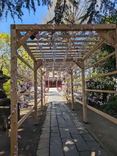 越谷香取神社(埼玉県)