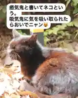 専念寺(大阪府)