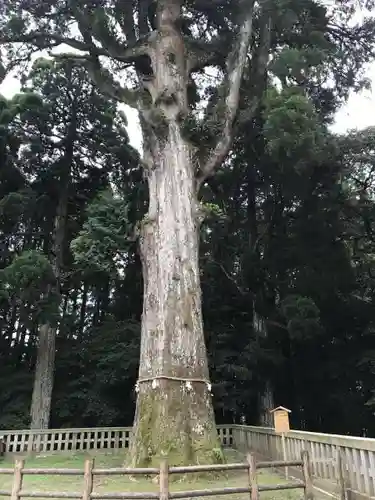 霧島神宮の自然